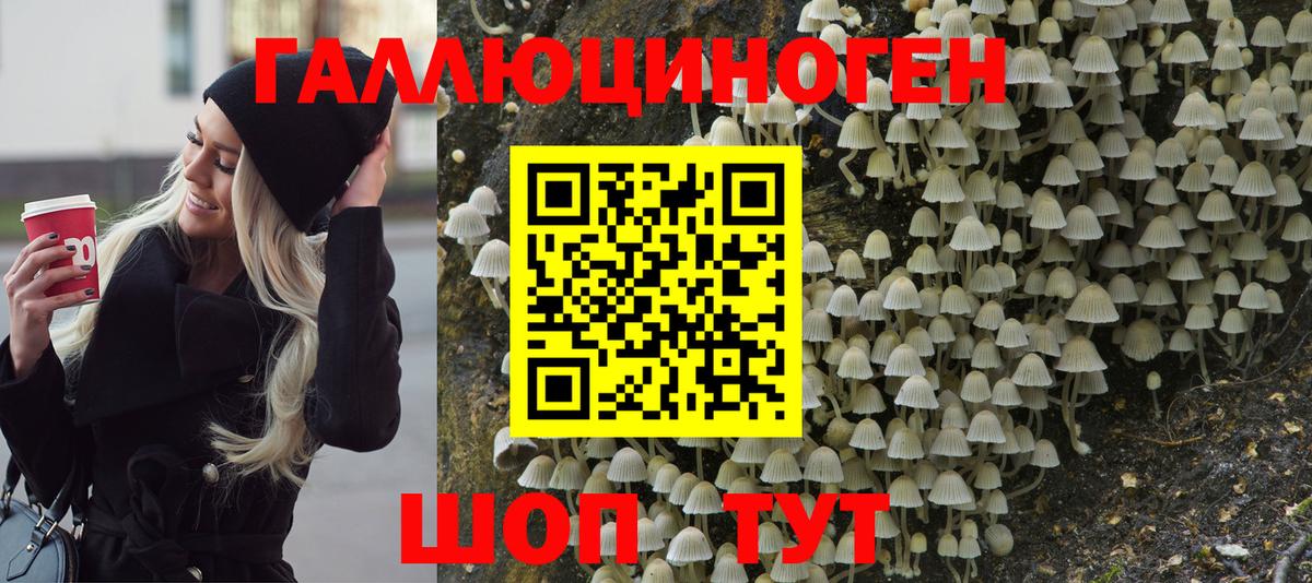 Псилоцибиновые грибы ЛСД Серпухов